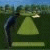 Flash Golf