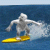 Yeti - surf