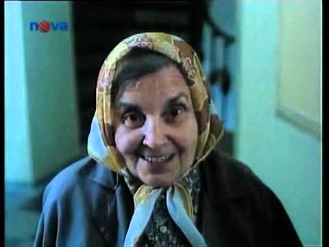 Šablona č. 1990