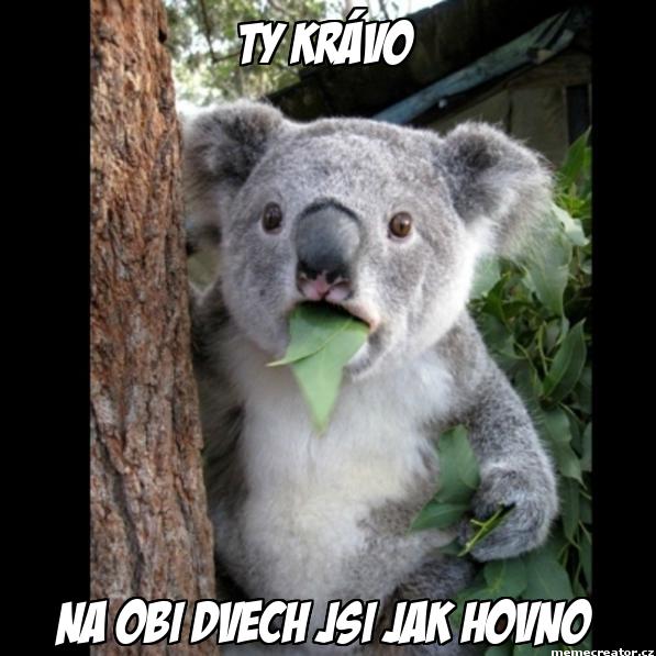 Šablona č. 493
