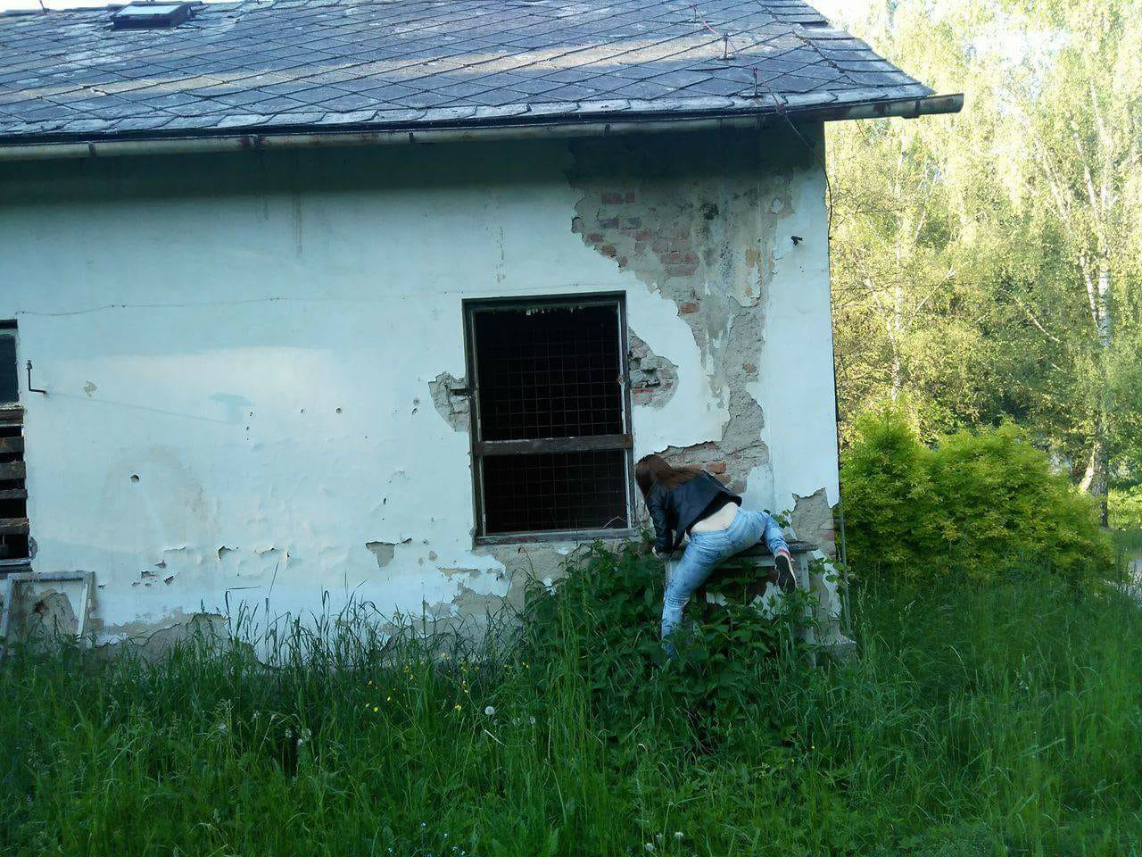 Šablona č. 1662