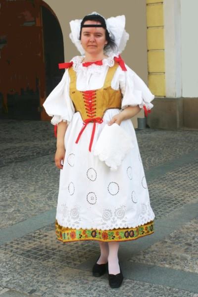 Šablona č. 1327