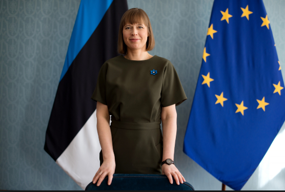 Šablona č. 2097